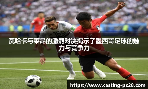 加拿大28官方网站